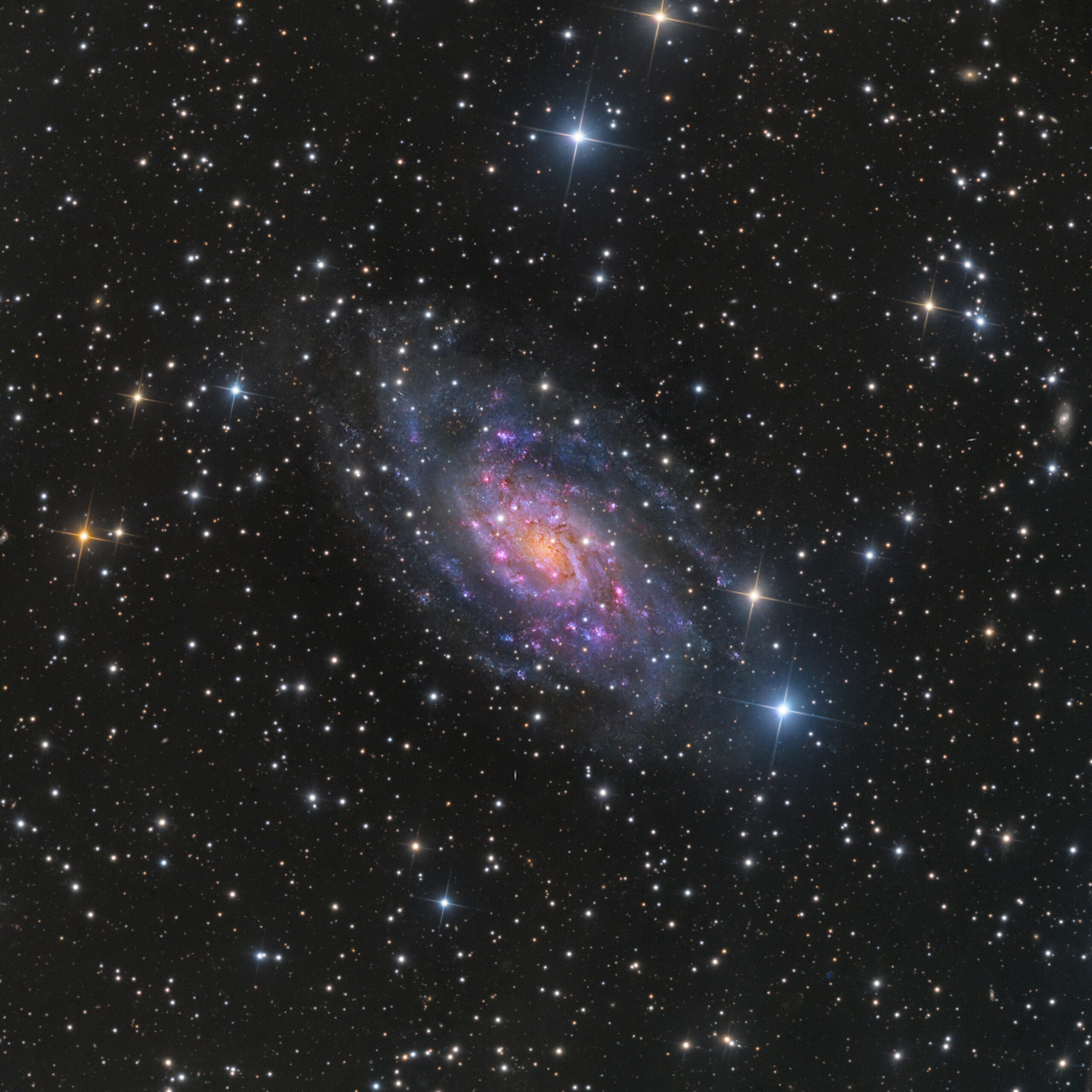 NGC 2403