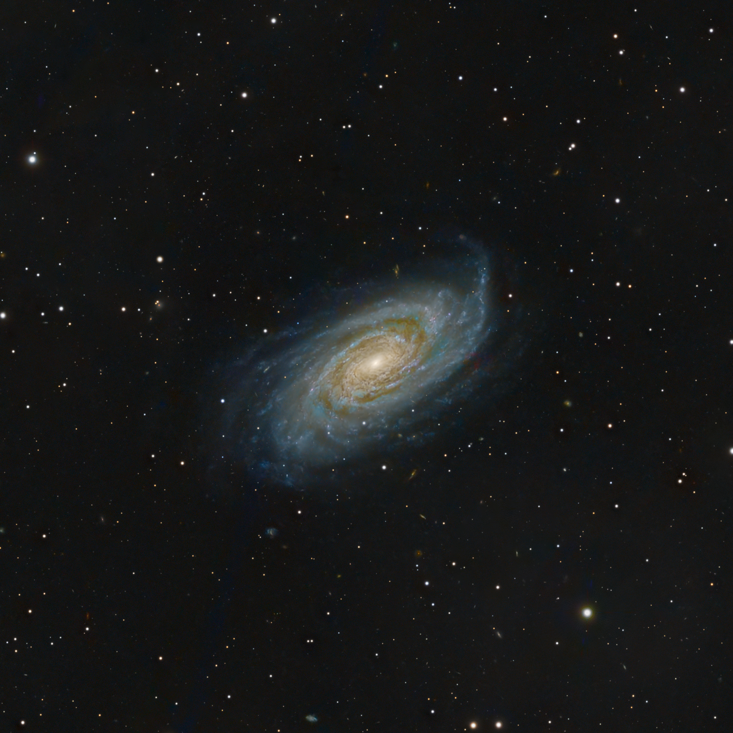 NGC 6943